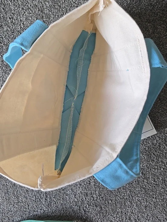 Trader Joe's Mini Pastel Canvas Tote Bag - Cream with Light Blue Trim - Picture 3 of 4